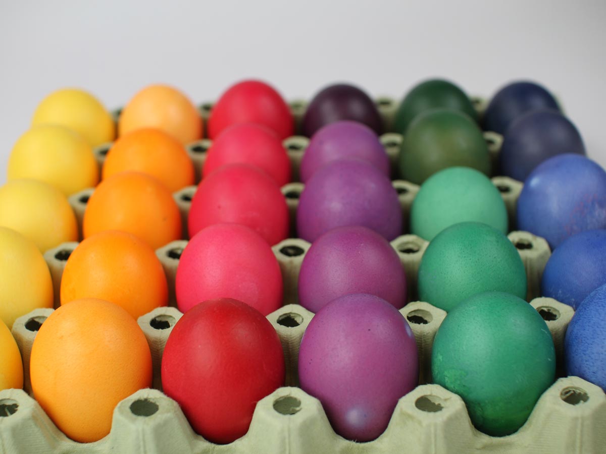 Bunte von hand gefärbte Ostereier – auch vor Ostern erhältlich!